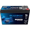 Bluebox 9-12 12 V 9 Ah geelakumulaator (GEL VRLA) häiresüsteemidele, seiresüsteemidele, kontrolleritele ja UPS-seadmetele