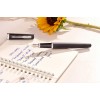 Parker Meridian täitesulepe matmust CT (F) – 2231404