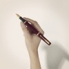 Parker Meridian punane GT täitesulepe (F) – 2231412