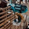 Makita DTR180ZJ akutoitel põhinev armatuurmasin